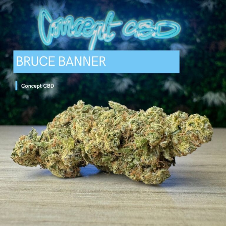 Bruce Banner