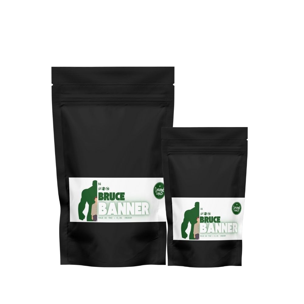 Bruce Banner – Image 2