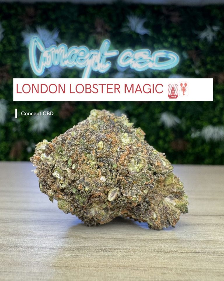 LONDON LOBSTER MAGIC