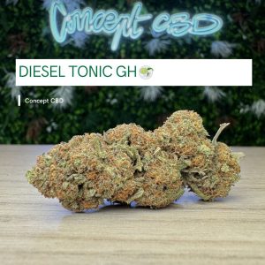 DIESEL TONIC GH