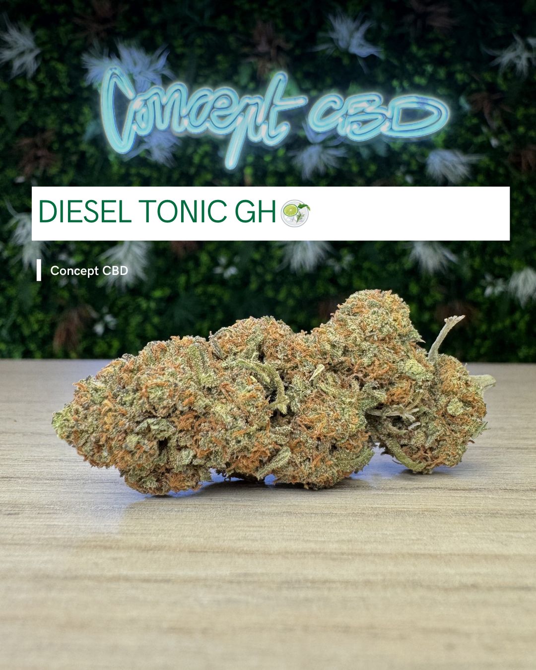 DIESEL TONIC GH